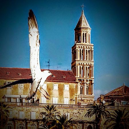 Alnea Split Exterior foto