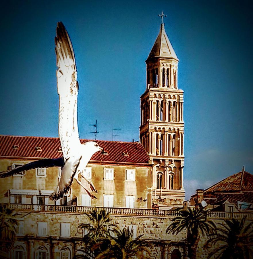 Alnea Split Exterior foto